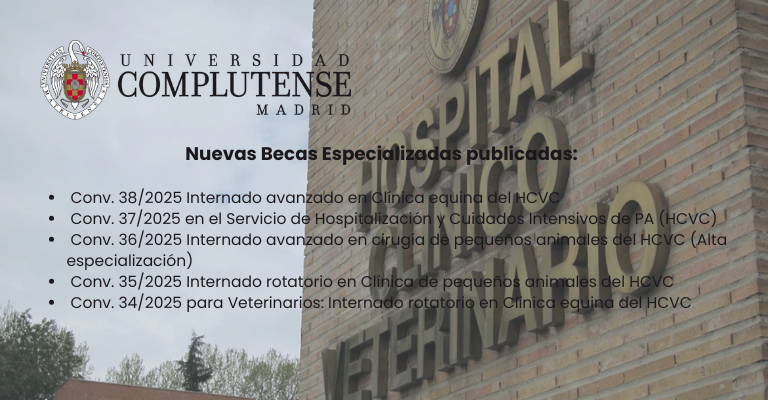 Nuevas Becas Especializadas